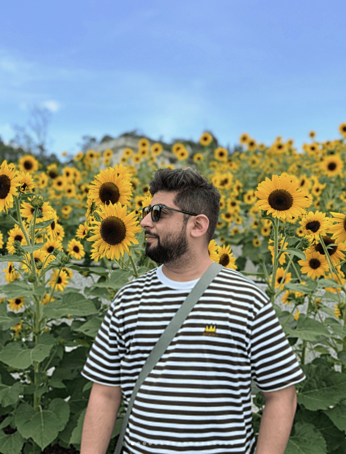 Akhil Taneja in a sunflower field